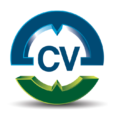 ClockVIEW Logo