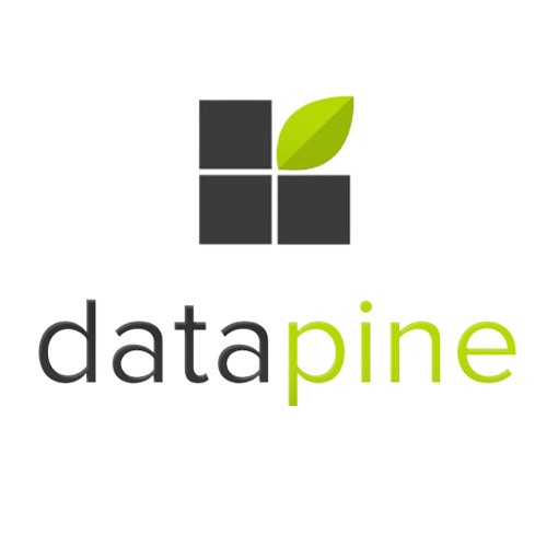 Datapine Logo