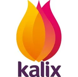 Kalix